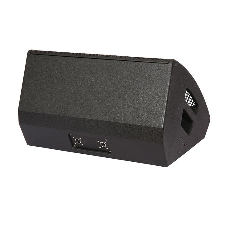 SY-15 Haut-parleur de moniteur de scène audio professionnel de 15 pouces